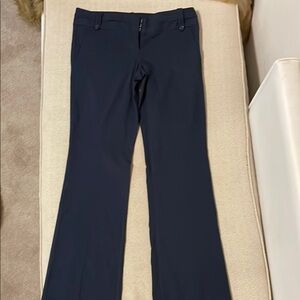 The Limited Exact Stretch Navy Pants. Size 10.